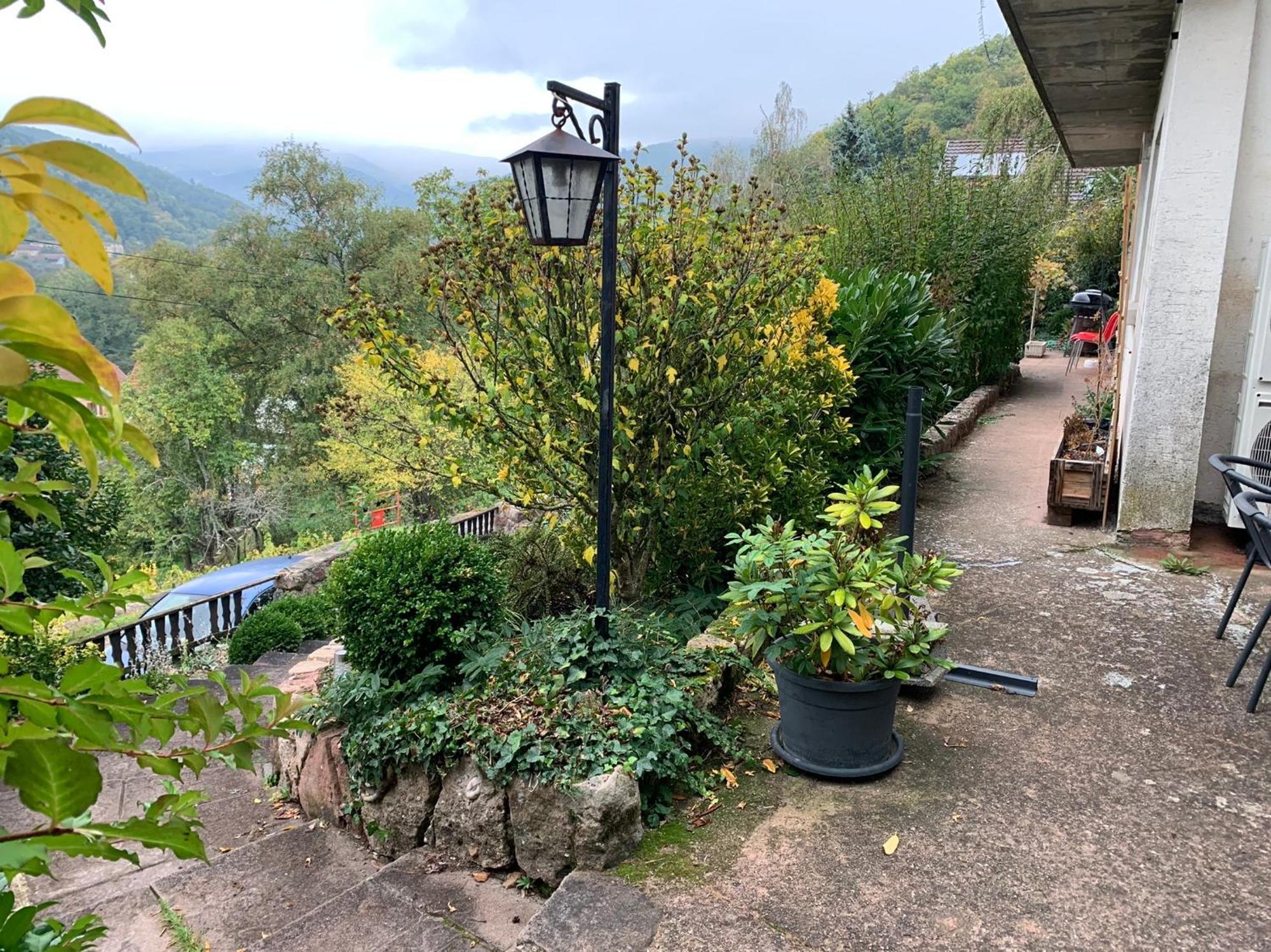 Buhl Au Reposoir - Vue Sur La Montagne 아파트 외부 사진